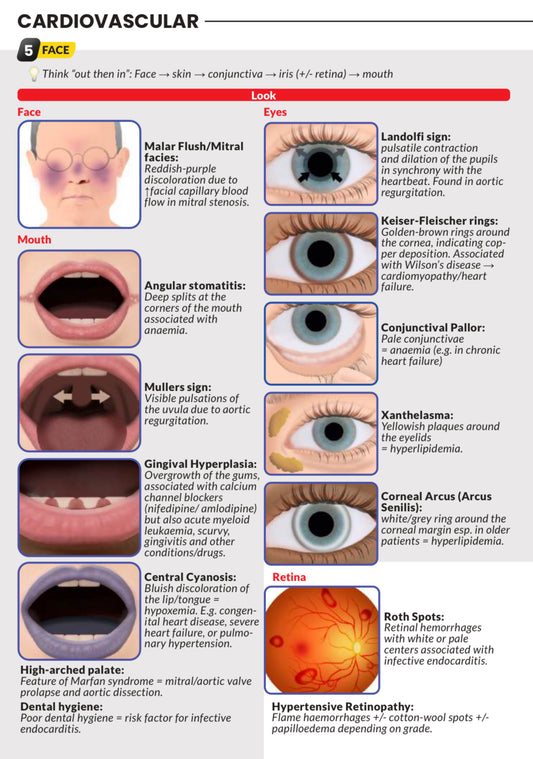 Never Forget Clinical Exams (A5 booklet)