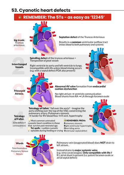 Never Forget Cardiology AND bonus 290 Q&A pack