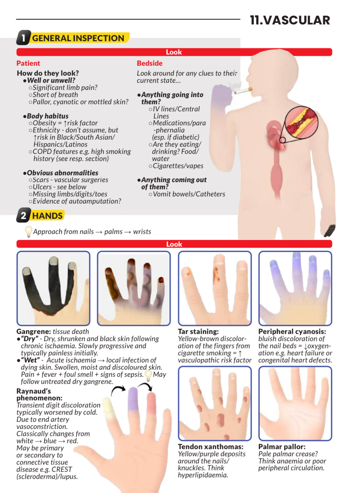 🚀BRAND NEW: Never Forget Clinical Exams (A5 booklet)