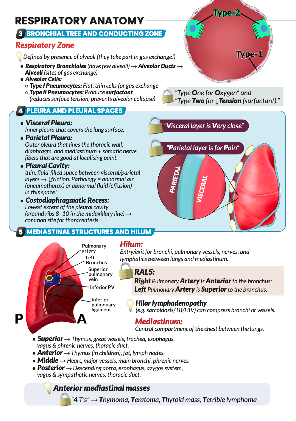 Never Forget Respiratory (A4 Book) AND bonus 300 Q&A Pack (digital)