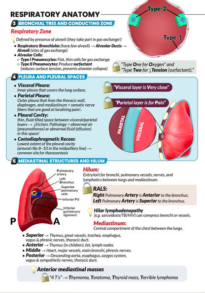 Never Forget Respiratory (A4 Book) AND bonus 300 Q&A Pack (digital)